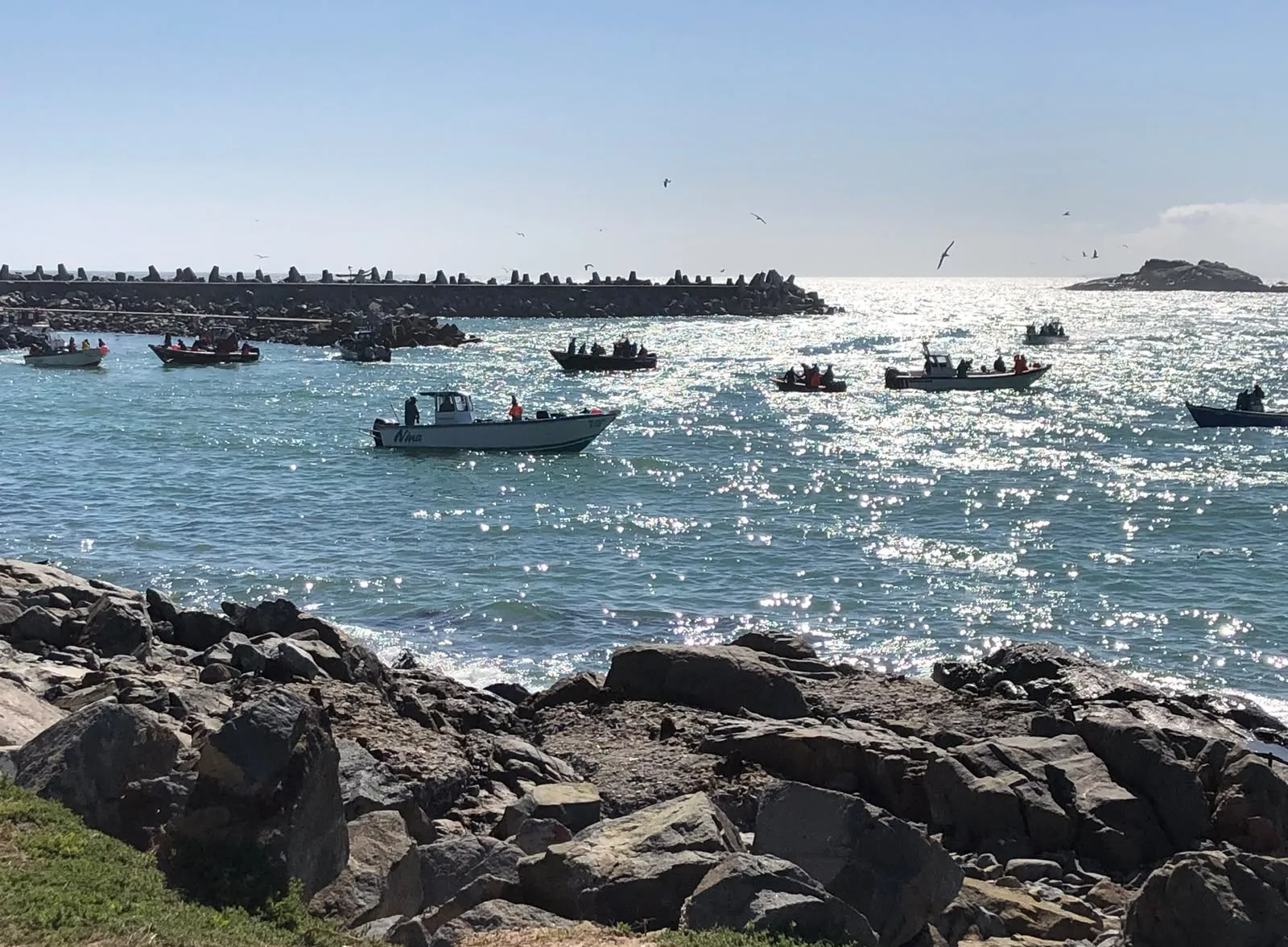 Fishing boats in the harbour with sun sparkling on the water